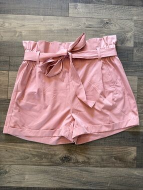 Charlotte Russe Blush Pink Pleated Mini Skirt